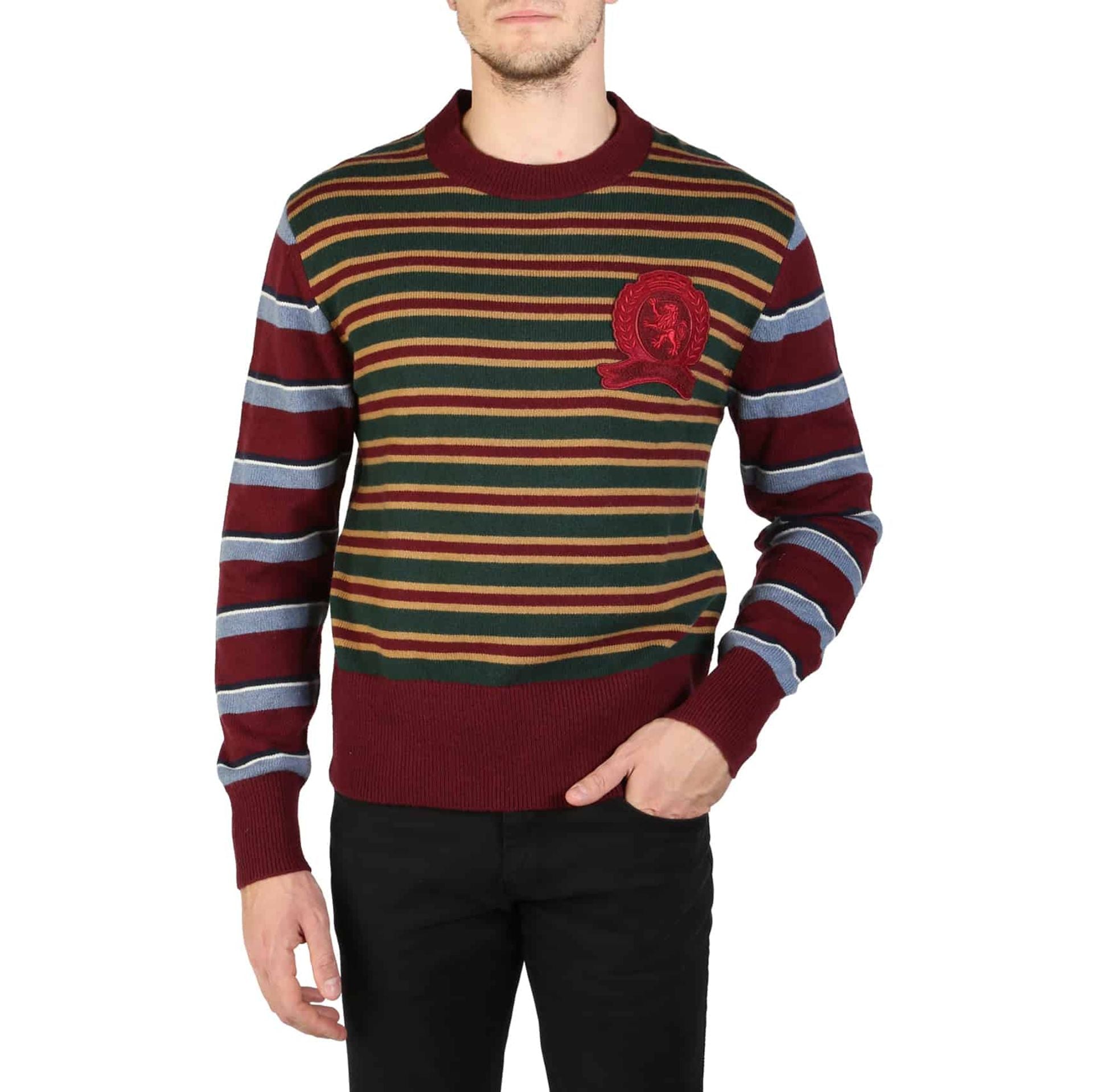 Tommy Hilfiger Sweaters - Fizigo