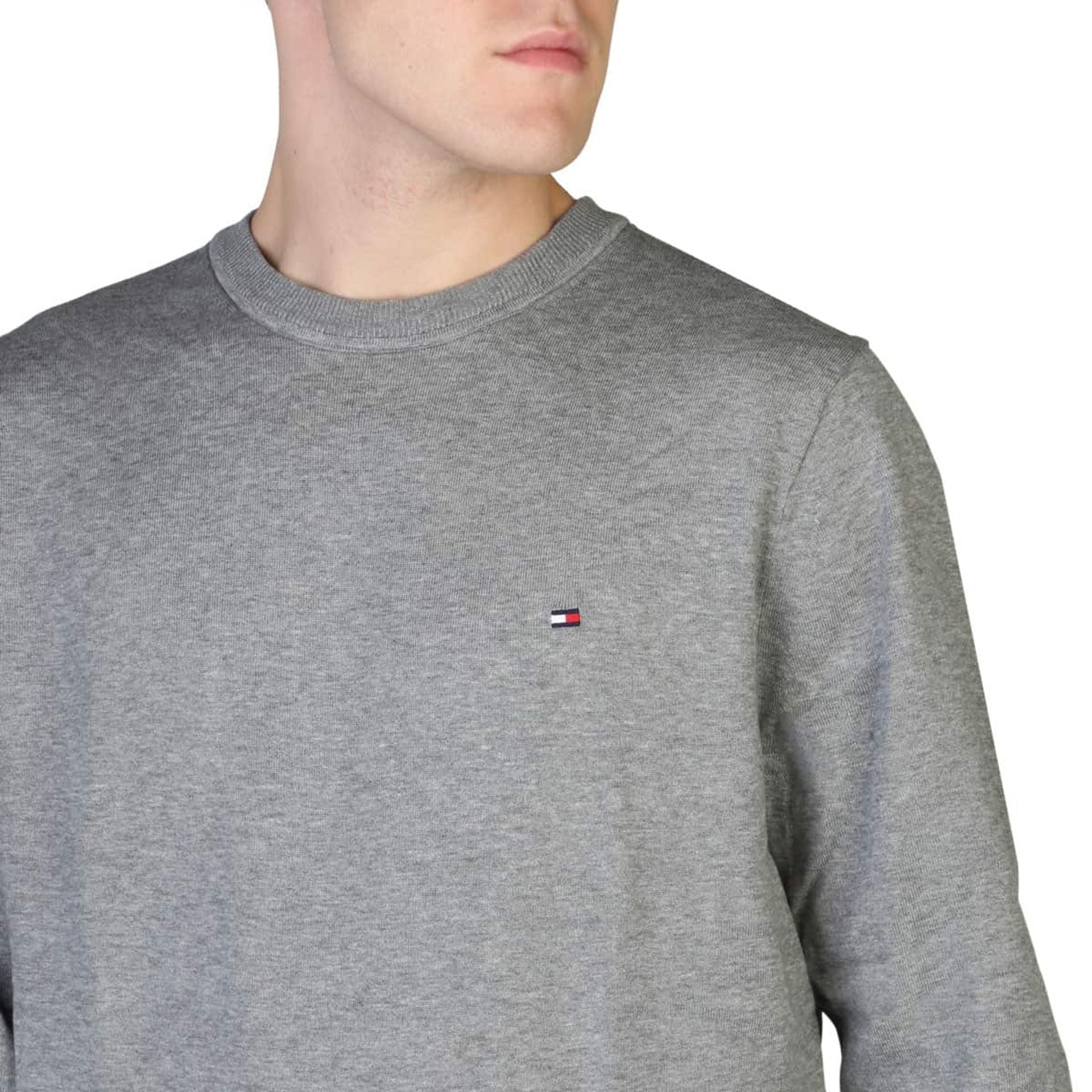 Tommy Hilfiger Sweatshirts - Fizigo